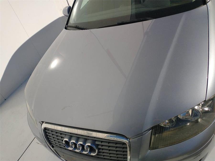 capo audi a3 sportback (8pa) 1.9 tdi ambition bkc