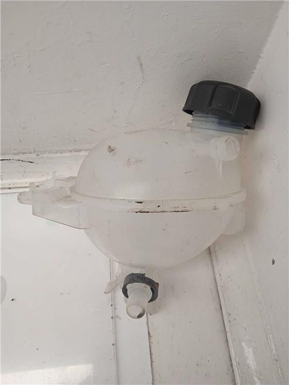 deposito expansion peugeot 2008 (  .2013 >) 1.6 blue hdi fap