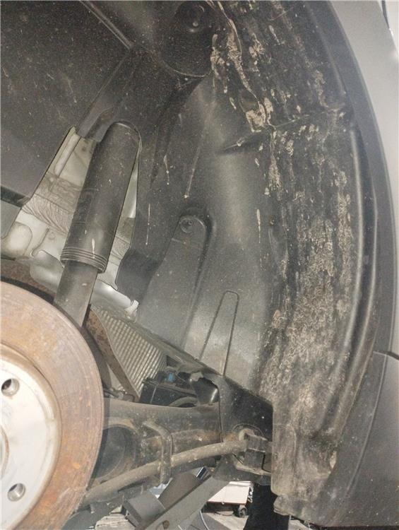 paso rueda trasero derecho citroen c3 elle bh02