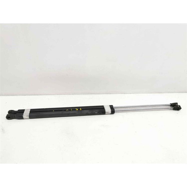 amortiguadores maletero/ porton 2.2