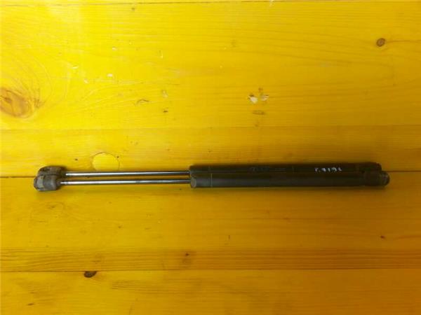 amortiguador porton renault clio ii fase ii 1