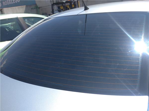 luna trasera volkswagen passat berlina 19 tdi