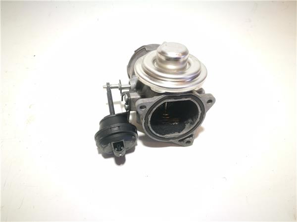 egr volkswagen passat berlina 19 tdi 131 cv