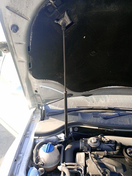 amortiguador capo volkswagen passat berlina (3c2) *