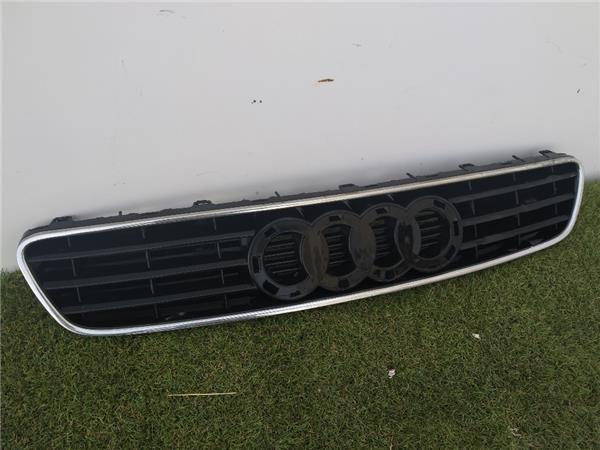 Rejilla Paragolpes Delantero Audi A3