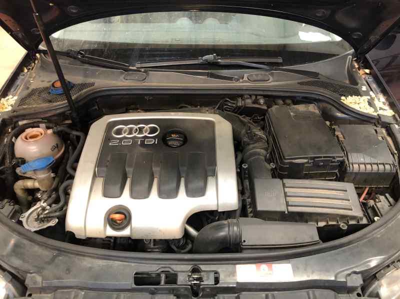 Cinturon Seguridad Trasero Izquierdo