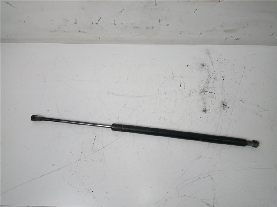 amortiguador porton bmw serie x5 (e53) 4.4i automático