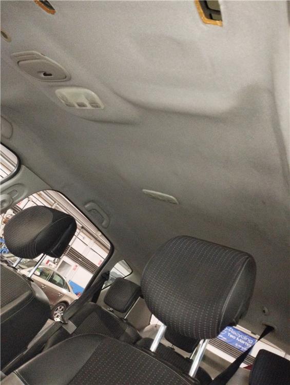 tapizado techo renault scenic iii (jz) dynamique