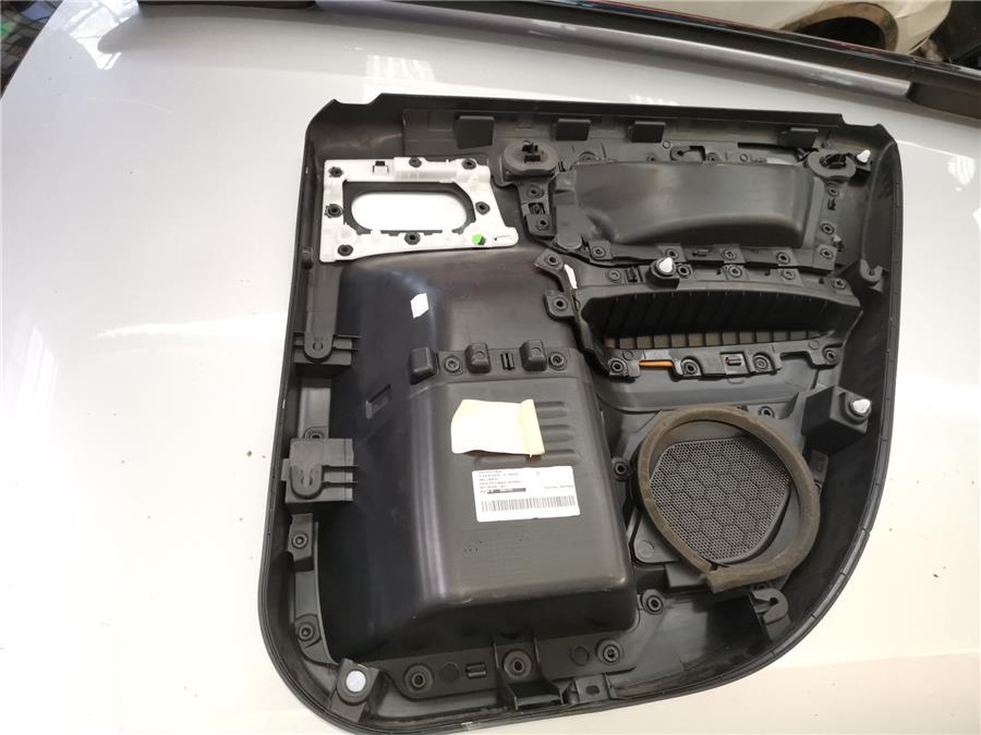 Guarnecido Puerta Trasera Izquierda