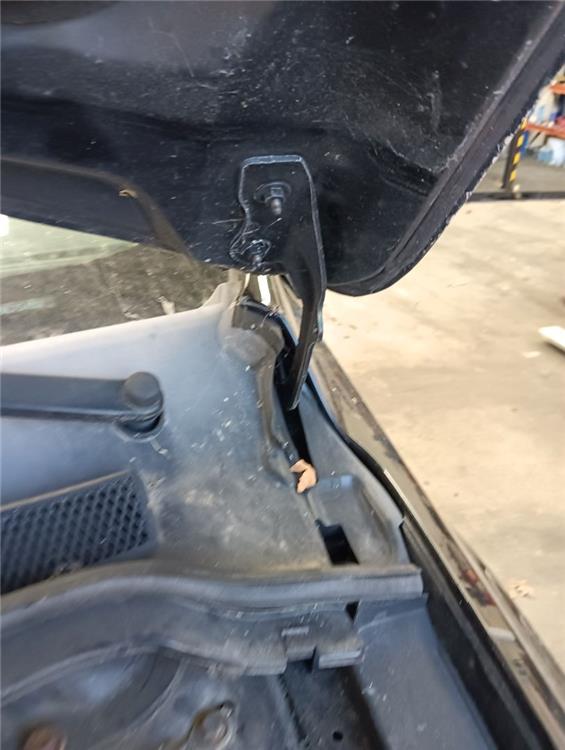 bisagra capo izquierda ford focus berlina (cb4) trend
