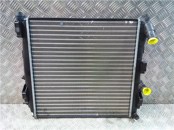 radiador renault kangoo 4x4 (2001 >) 1.9dci