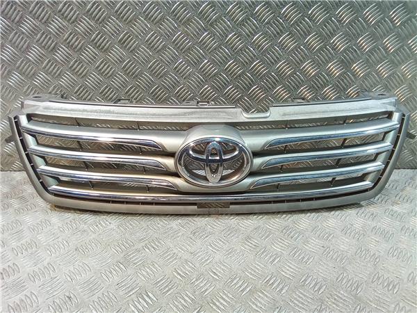 Rejilla Capo Toyota RAV4 2.2 Advance