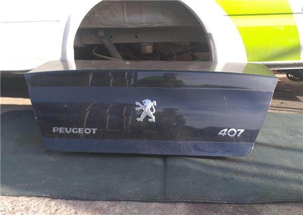 Porton Trasero Peugeot 407 2.0 ST