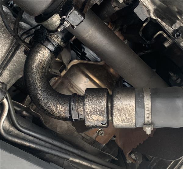 catalizador ford focus ii da 20 tdci