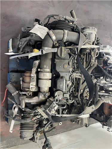 motor completo ford fiesta (cb1)(2008 >) 1.4 titanium [1,4 ltr.   50 kw tdci cat]
