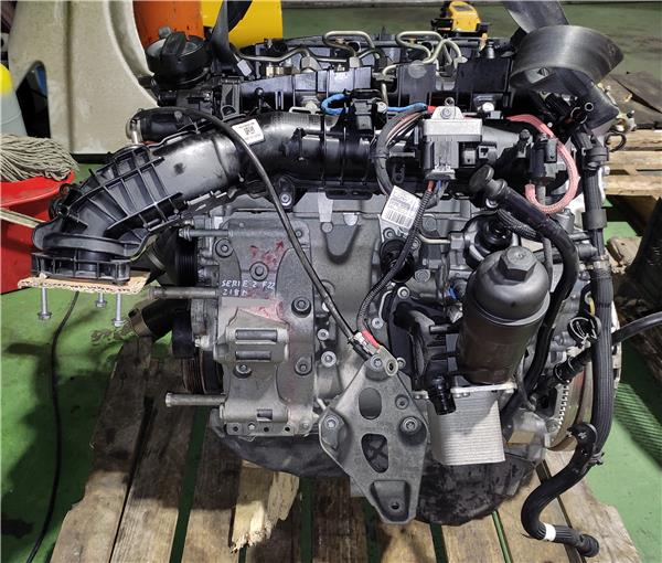 motor completo bmw serie 2 coupe (f22)(2013 >) 2.0 218 d [2,0 ltr.   110 kw 16v turbodiesel]