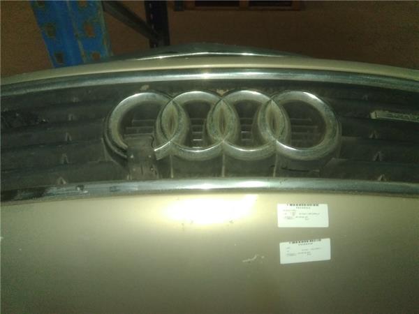Rejilla Capo Audi A6 Avant 2.8