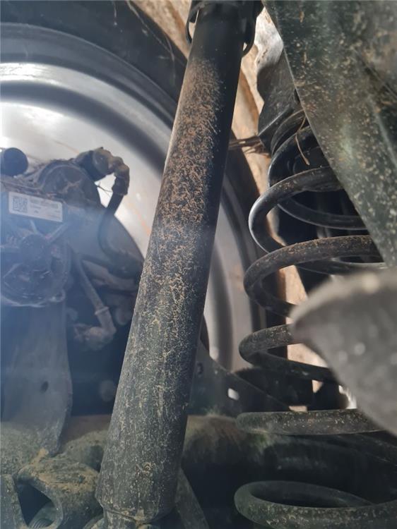 amortiguador trasero izquierdo ford focus berlina (cge) st line