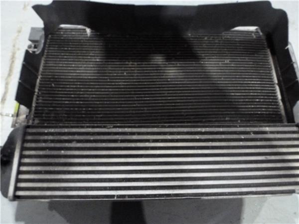 Radiador Lancia Delta 1.9 Platino