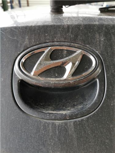Maneta Exterior Porton Hyundai i30