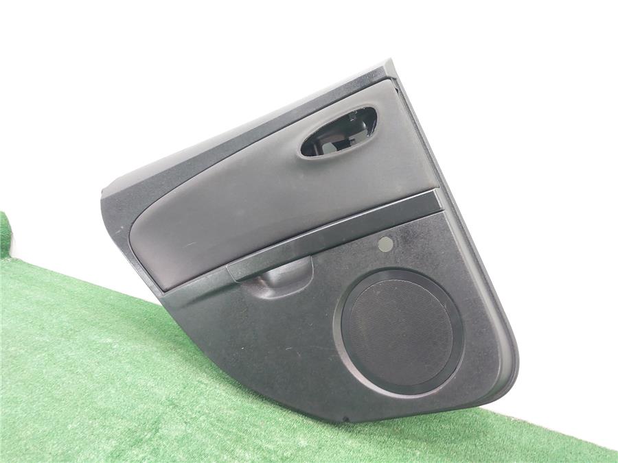 Guarnecido Puerta Trasera Izquierda