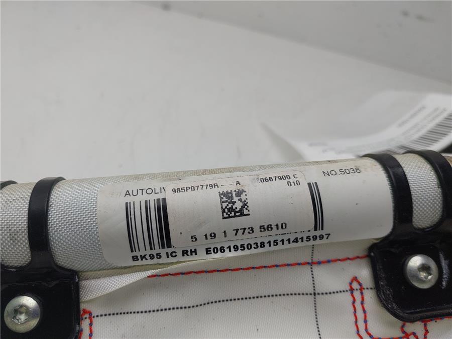 Airbag cortina delantero derecho III
