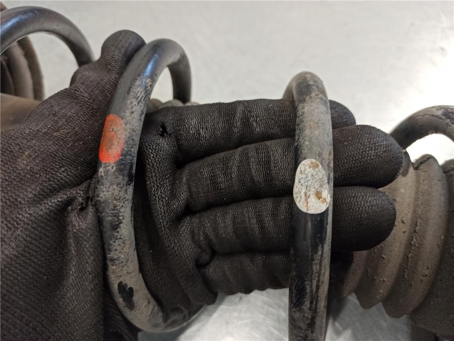 Amortiguador Trasero Izquierdo 1.6