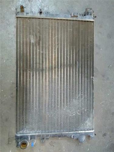 radiador peugeot expert kasten standard 1.9 d (69 cv)