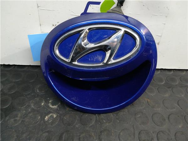 Maneta Exterior Porton Hyundai 1.6