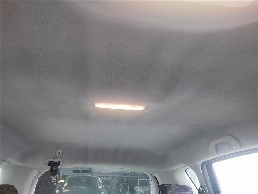 tapizado techo renault scenic iii (jz) expression