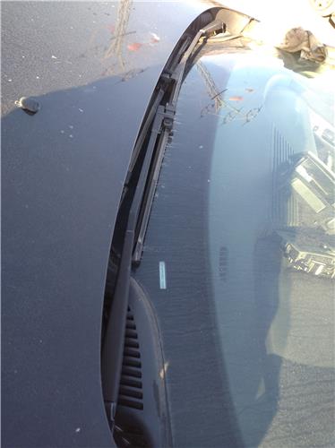 brazo limpiaparabrisas delantero izquierdo pe