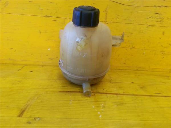 botella expansion renault clio ii fase ii 15