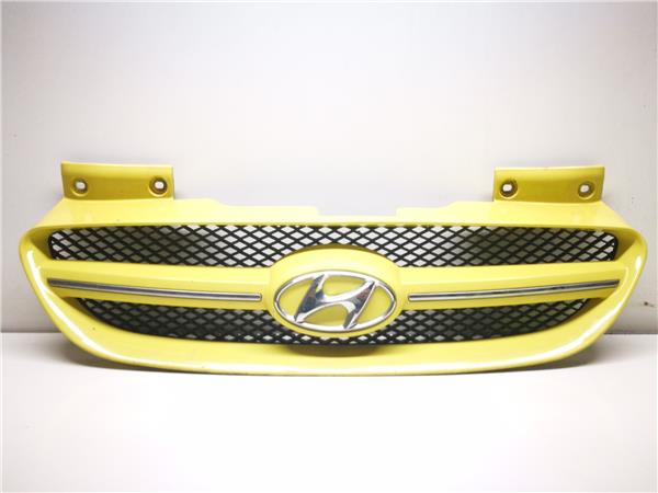 rejilla capo hyundai getz 15 crdi 88 cv