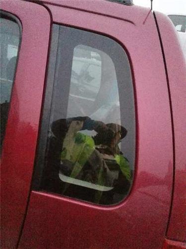 luna fija puerta trasera izquierda opel agila