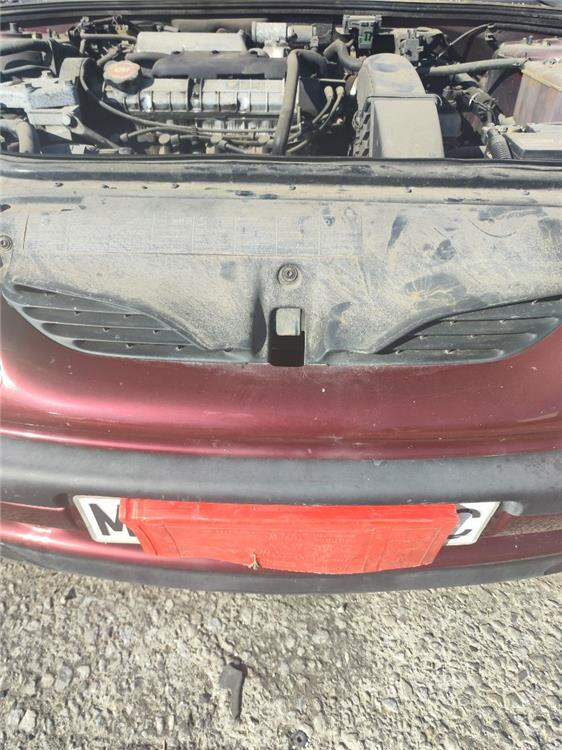 rejilla capo renault laguna (b56) 2.0 anade