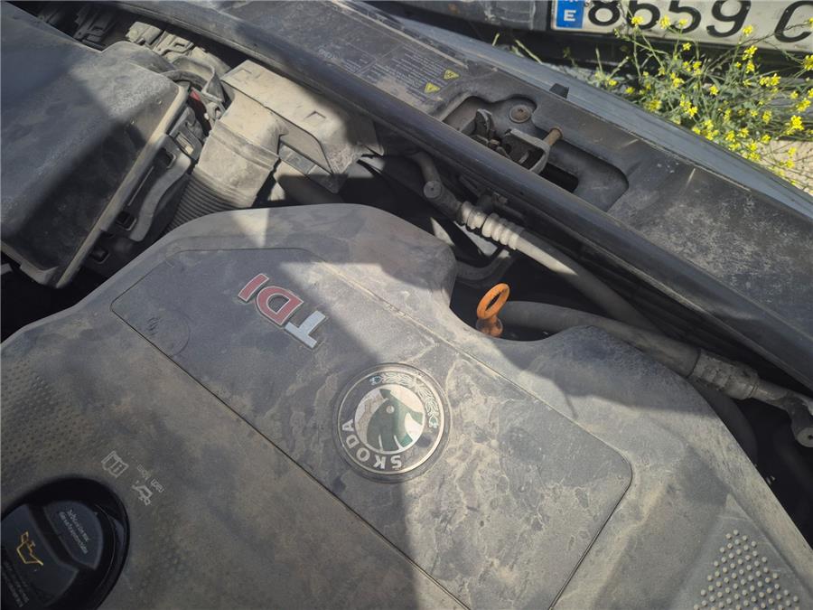 compresor aire acondicionado skoda fabia combi (6y5) comfort