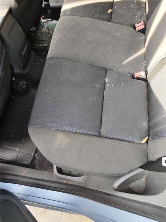 asientos traseros izquierdo ford focus berlina (cap) sport