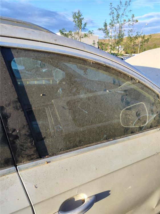 luna puerta delantera derecha audi q7 (4l) 3.0 tdi