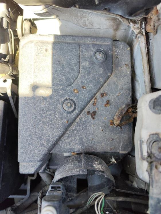 caja reles renault kangoo ii (f/kw0) expression profesional