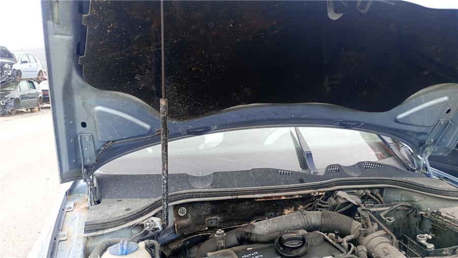 amortiguador capo volkswagen passat berlina (3c2) advance 4motion