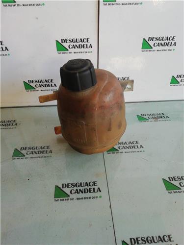 botella expansion renault scenic 19 dti d 98