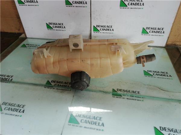 botella expansion renault clio iii 15 dci d 1