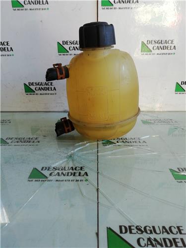 botella expansion renault megane i fase 2 ber