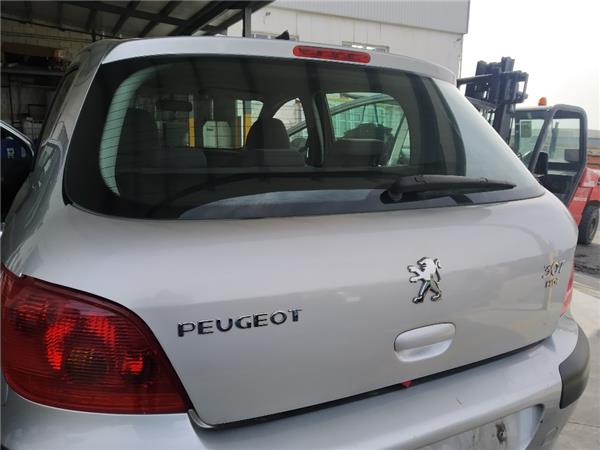Porton Trasero Peugeot 307 2.0 XR