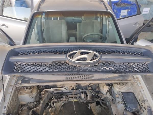 Rejilla Capo Hyundai Tucson 2.0