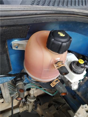 botella expansion renault clio ii fase i (b/cb0)(1998 >) 1.2 alize [1,2 ltr.   55 kw]
