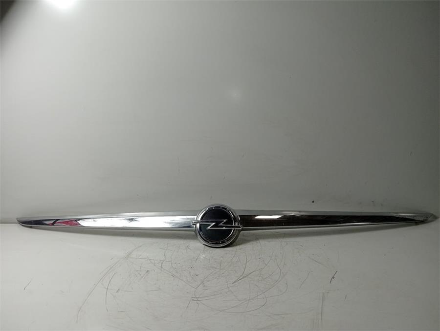 13244388 maneta exterior porton