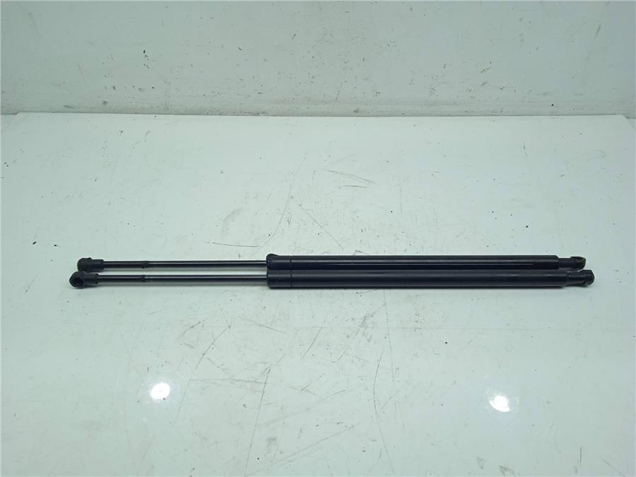 amortiguador porton bmw serie x5 (e53) 3.0d