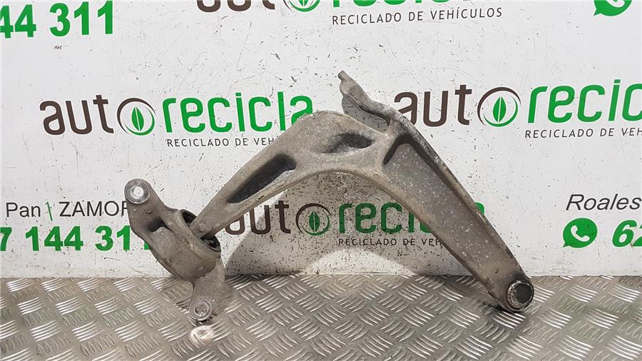 Brazo Inferior Delantero Izquierdo 3