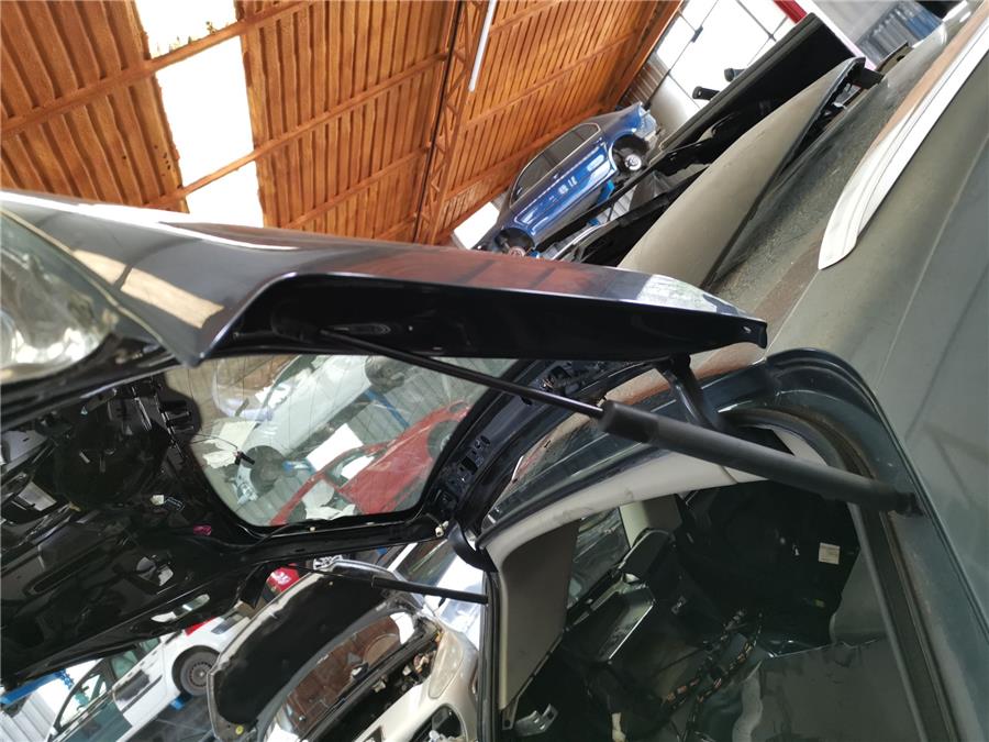 amortiguador porton audi q5 (8r) 2.0 tdi (125kw)